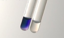 Hippurate hydrolysis test